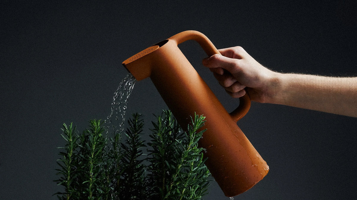Getting the Pour Right: A Watering Can Worth Using