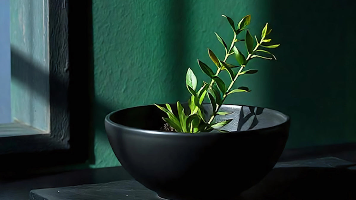 The Case for One Plant, Well Placed