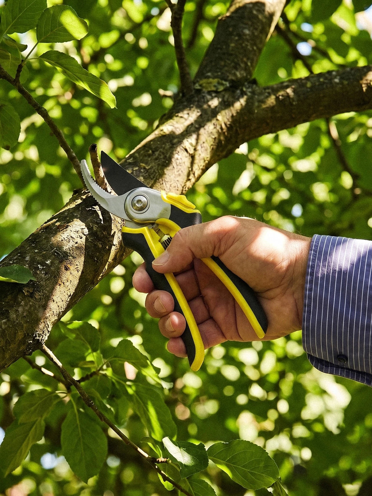 Anvil Pruner