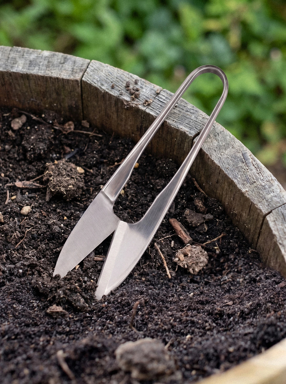 Bonsai Snips