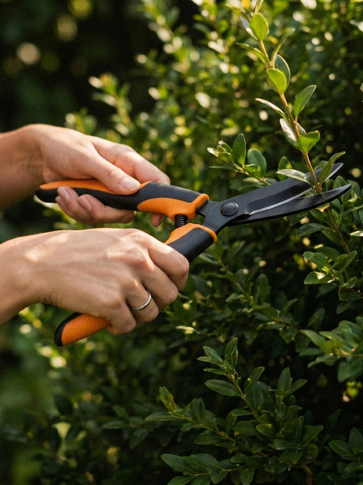 Garden Shears