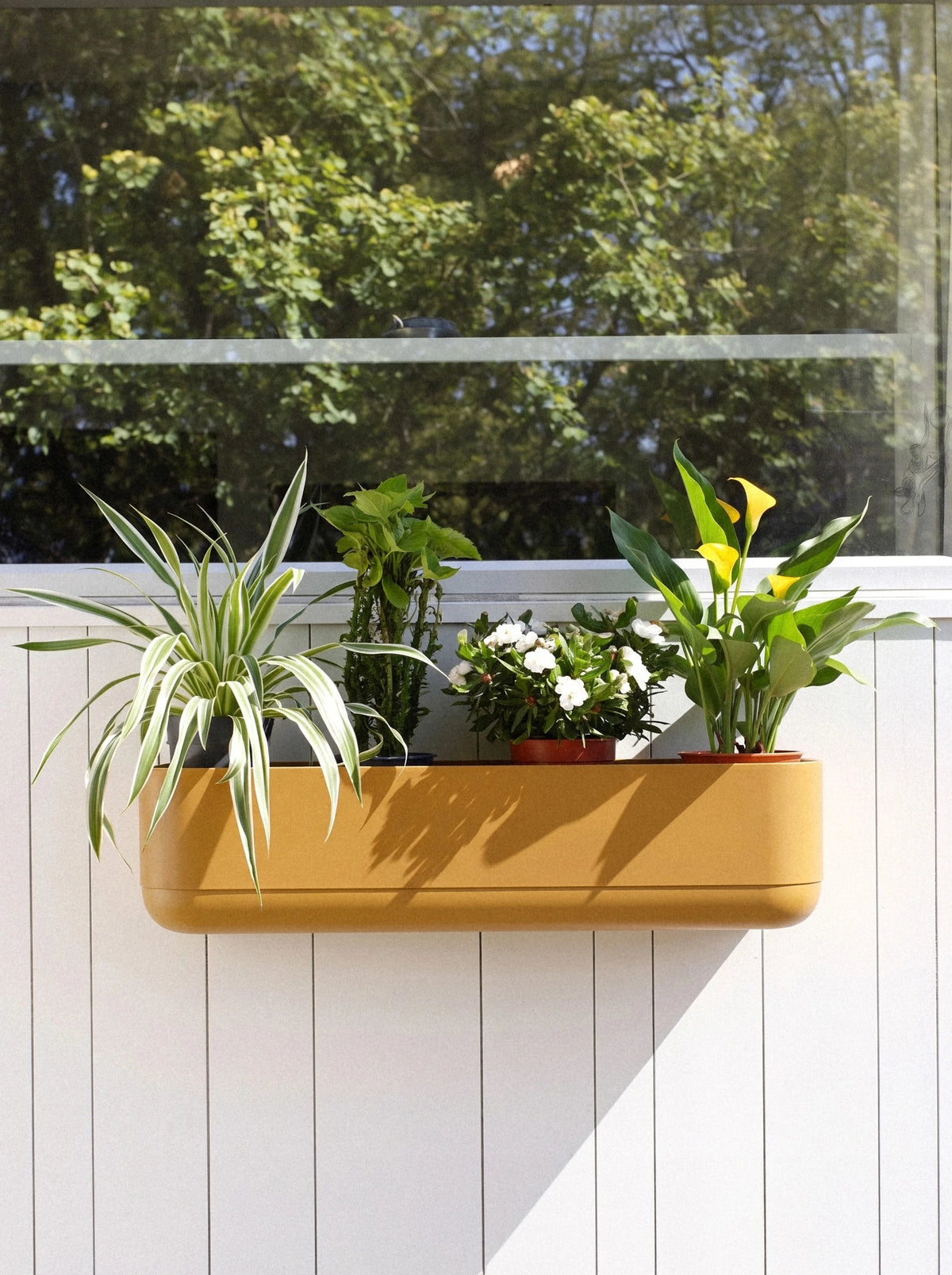 Gloss Rail Box