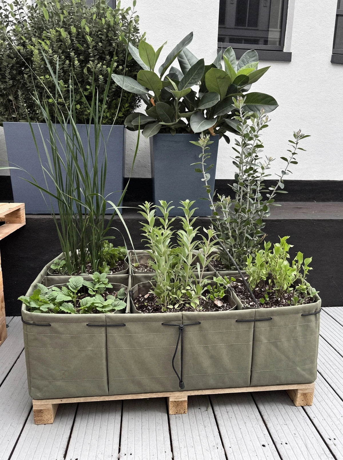 Grid Cinch Tray
