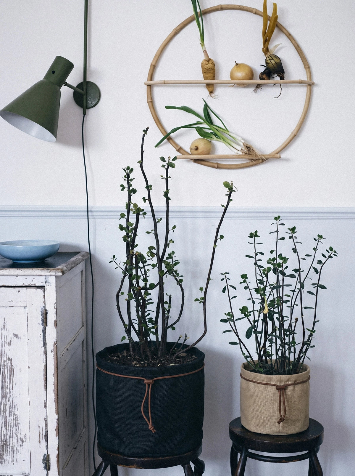 Tall Cinch Basket