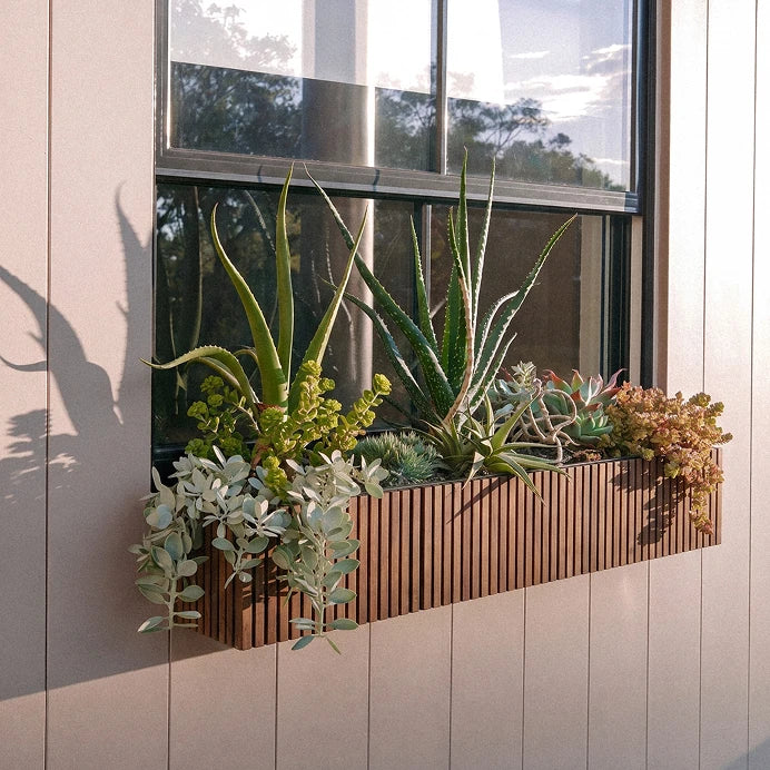 Window Boxes